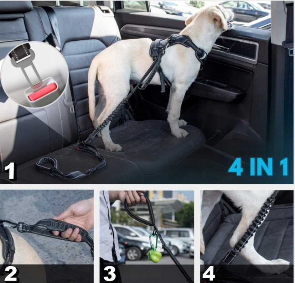 Smycz treningowa , spacerowa .