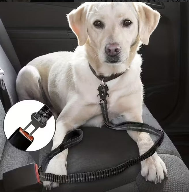 Smycz treningowa , spacerowa .