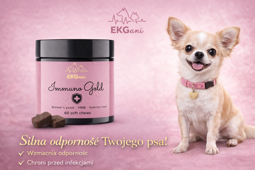 Immuno Gold wsparcie odporności psa