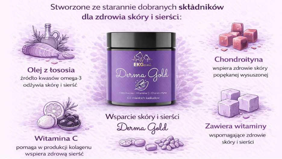 Derma Gold suplement na zdrową skórę i lśniącą sierść psa