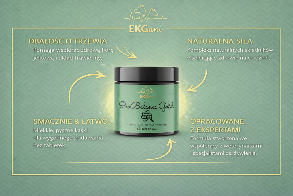 ProBalance Gold wsparcie jelit i przewodu pokarmowego psa