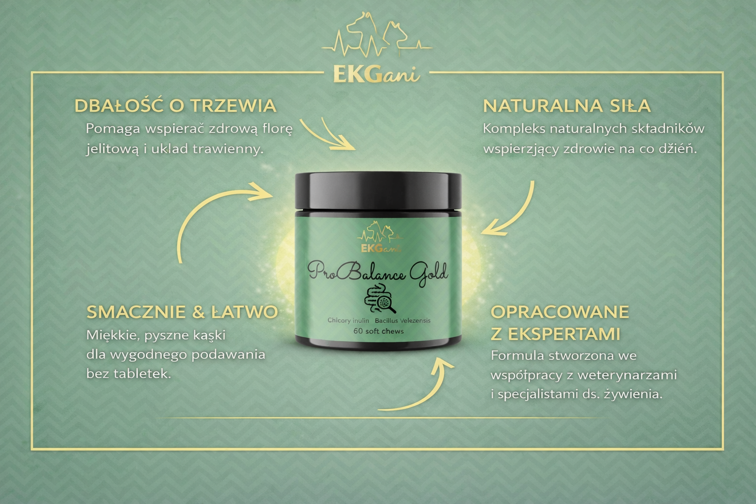 ProBalance Gold wsparcie jelit i przewodu pokarmowego psa