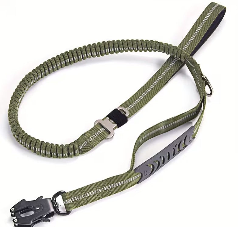 Smycz treningowa , spacerowa .